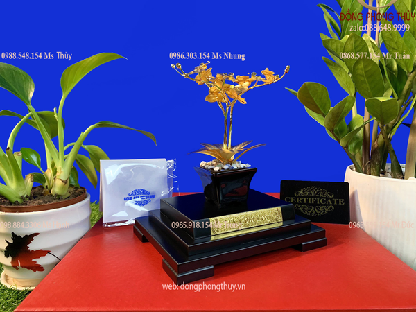 Quà tặng doanh nghiệp-quà tặng mạ vàng-chậu lan mạ vàng 24k