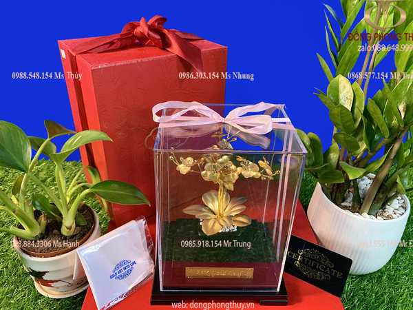 Quà tặng doanh nghiệp-quà tặng mạ vàng-chậu lan mạ vàng 24k