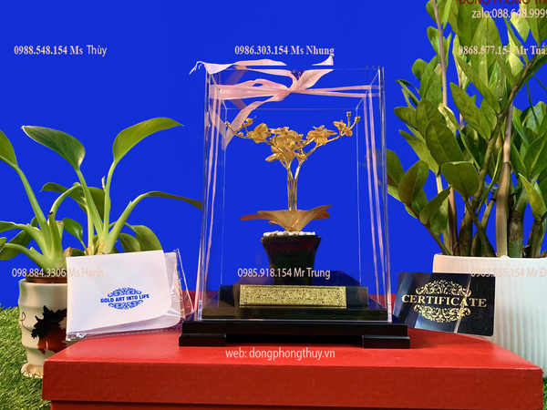 Quà tặng doanh nghiệp-quà tặng mạ vàng-chậu lan mạ vàng 24k