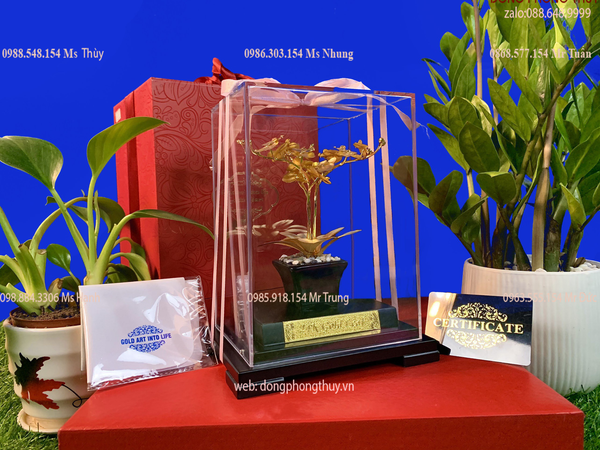 Quà tặng doanh nghiệp-quà tặng mạ vàng-chậu lan mạ vàng 24k