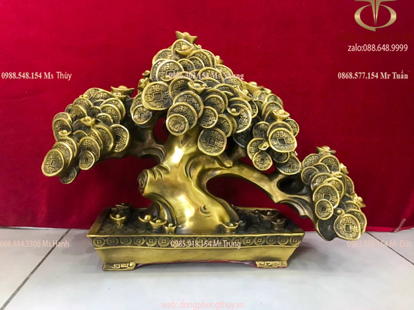 Cây kim tiền phát tài, phát lộc Cao 30,5 ngang 42,5 nặng 8kg