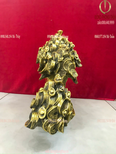 Cây kim tiền phát tài, phát lộc Cao 30,5 ngang 42,5 nặng 8kg