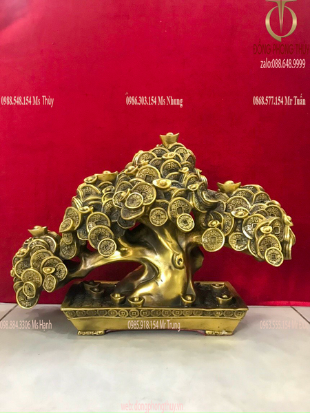 Cây kim tiền phát tài, phát lộc Cao 30,5 ngang 42,5 nặng 8kg