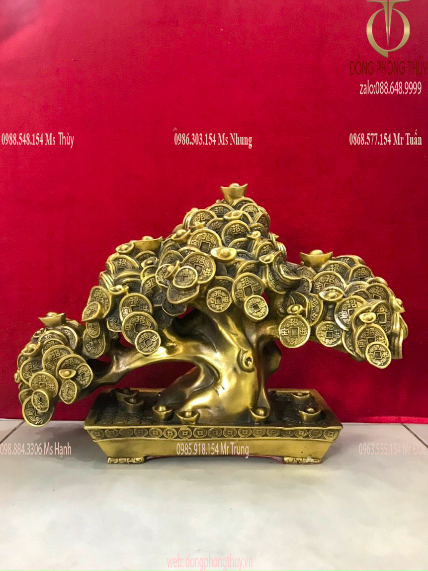 Chậu Cây tiền vàng bon sai bằng đồng