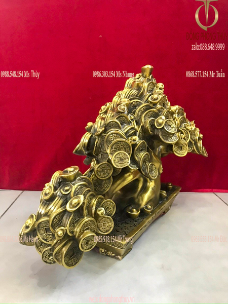 Cây kim tiền phát tài, phát lộc Cao 30,5 ngang 42,5 nặng 8kg