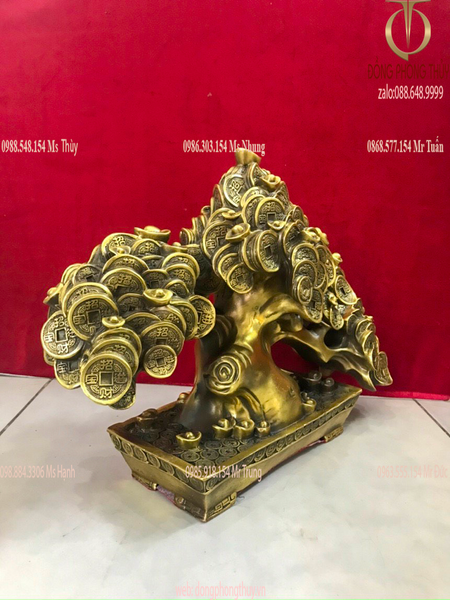 Cây kim tiền phát tài, phát lộc Cao 30,5 ngang 42,5 nặng 8kg