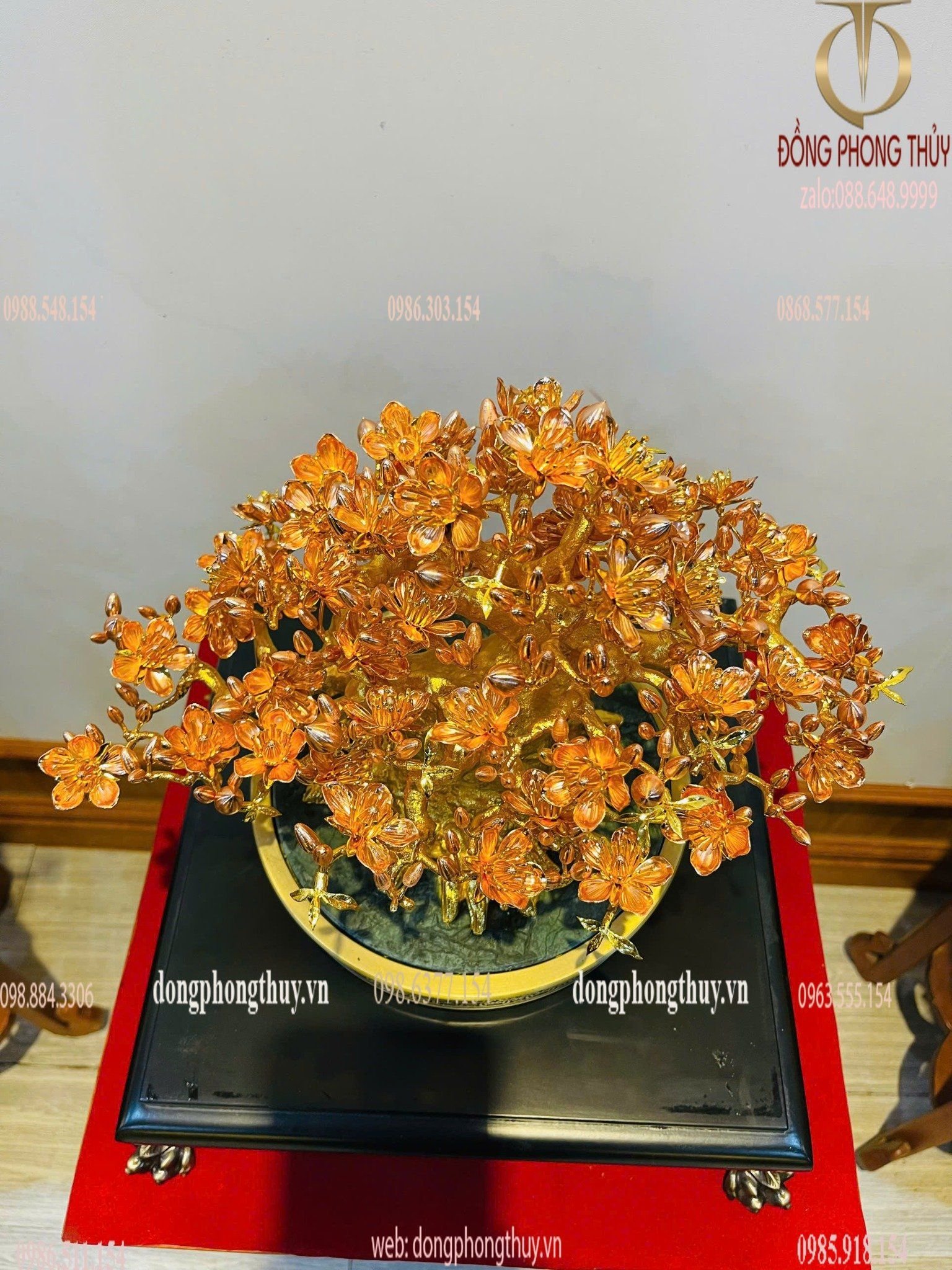 Hình ảnh sản phẩm