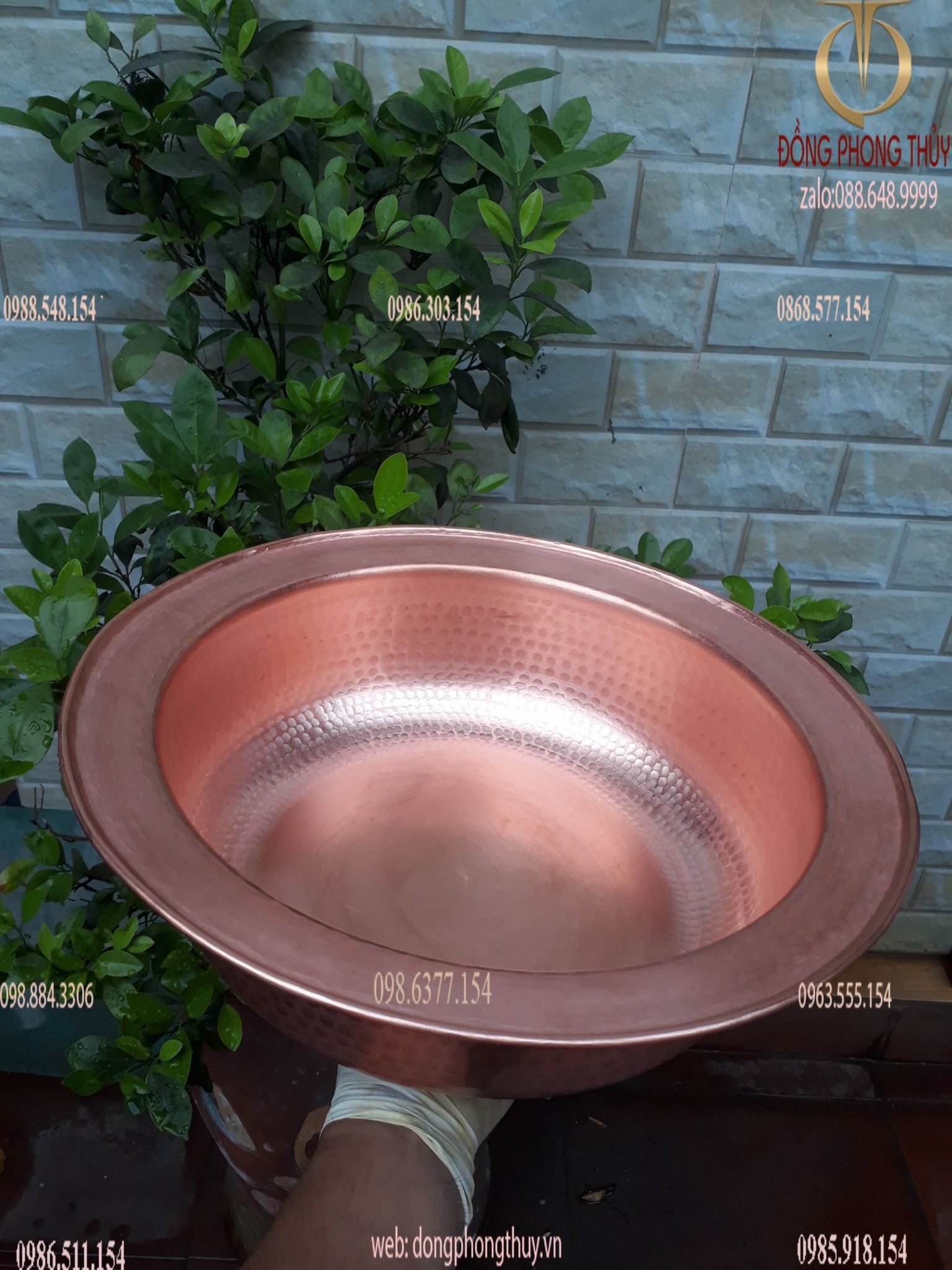 Hình ảnh sản phẩm