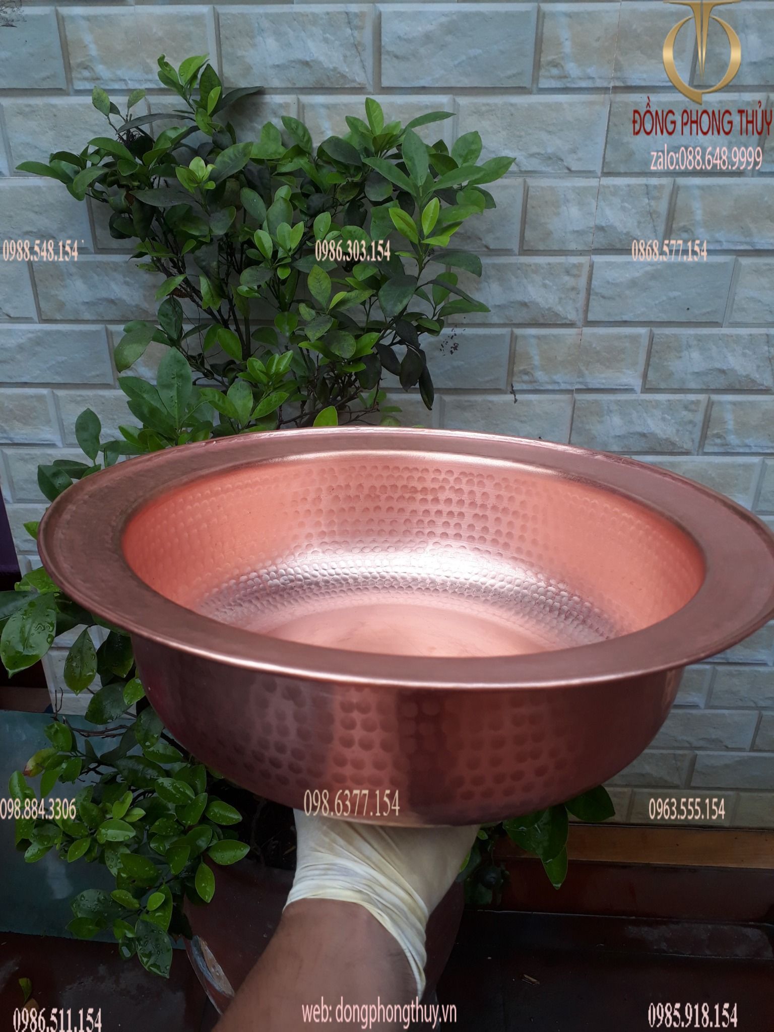 Hình ảnh sản phẩm