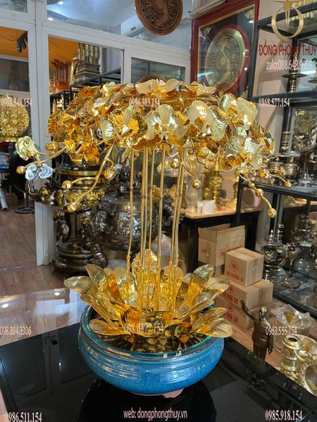 Quà tặng sếp-quà tặng mạ vàng-Hoa lan mạ vàng 24k 10 cành cao 55cm