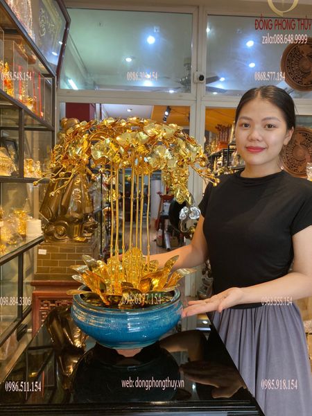 Quà tặng sếp-quà tặng mạ vàng-Hoa lan mạ vàng 24k 10 cành cao 55cm