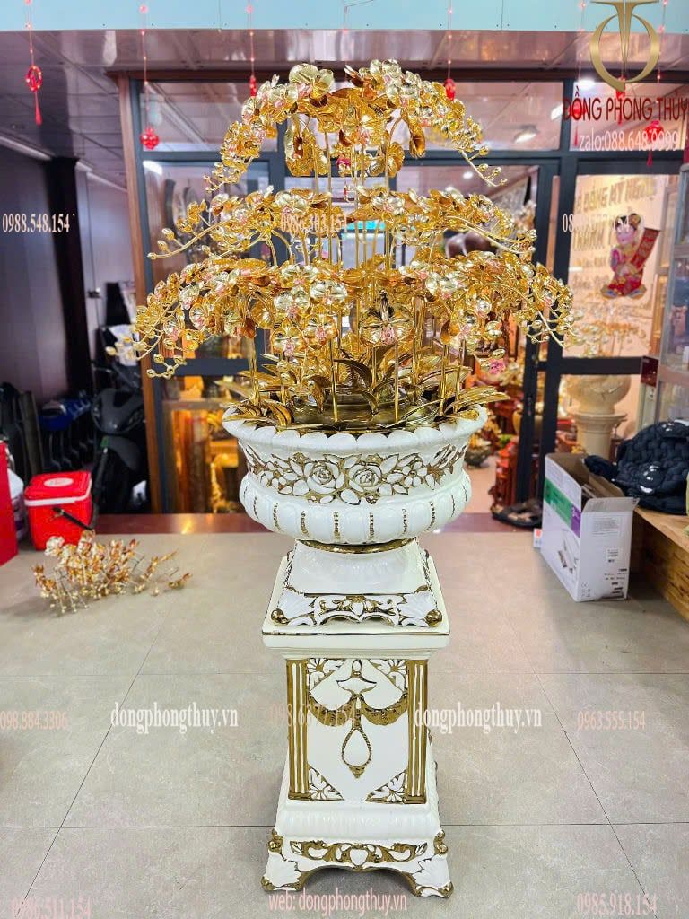 Hình ảnh sản phẩm