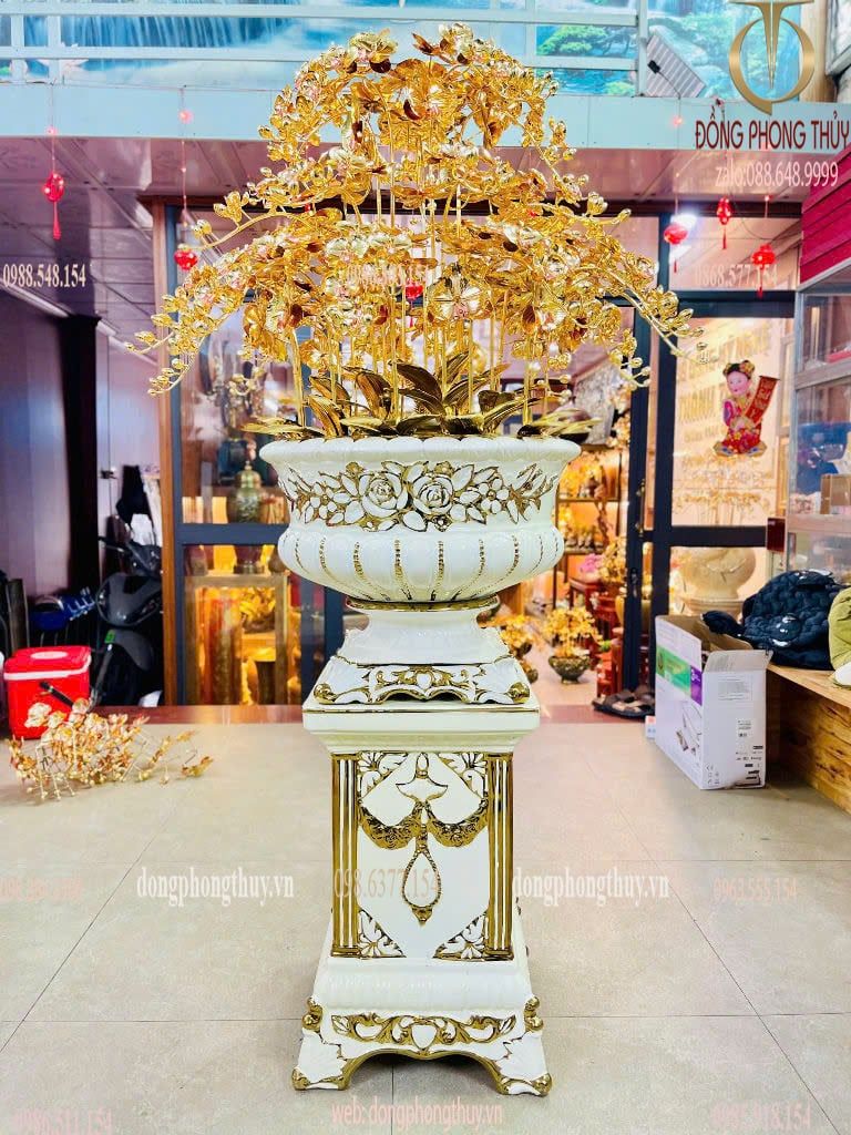Hình ảnh sản phẩm