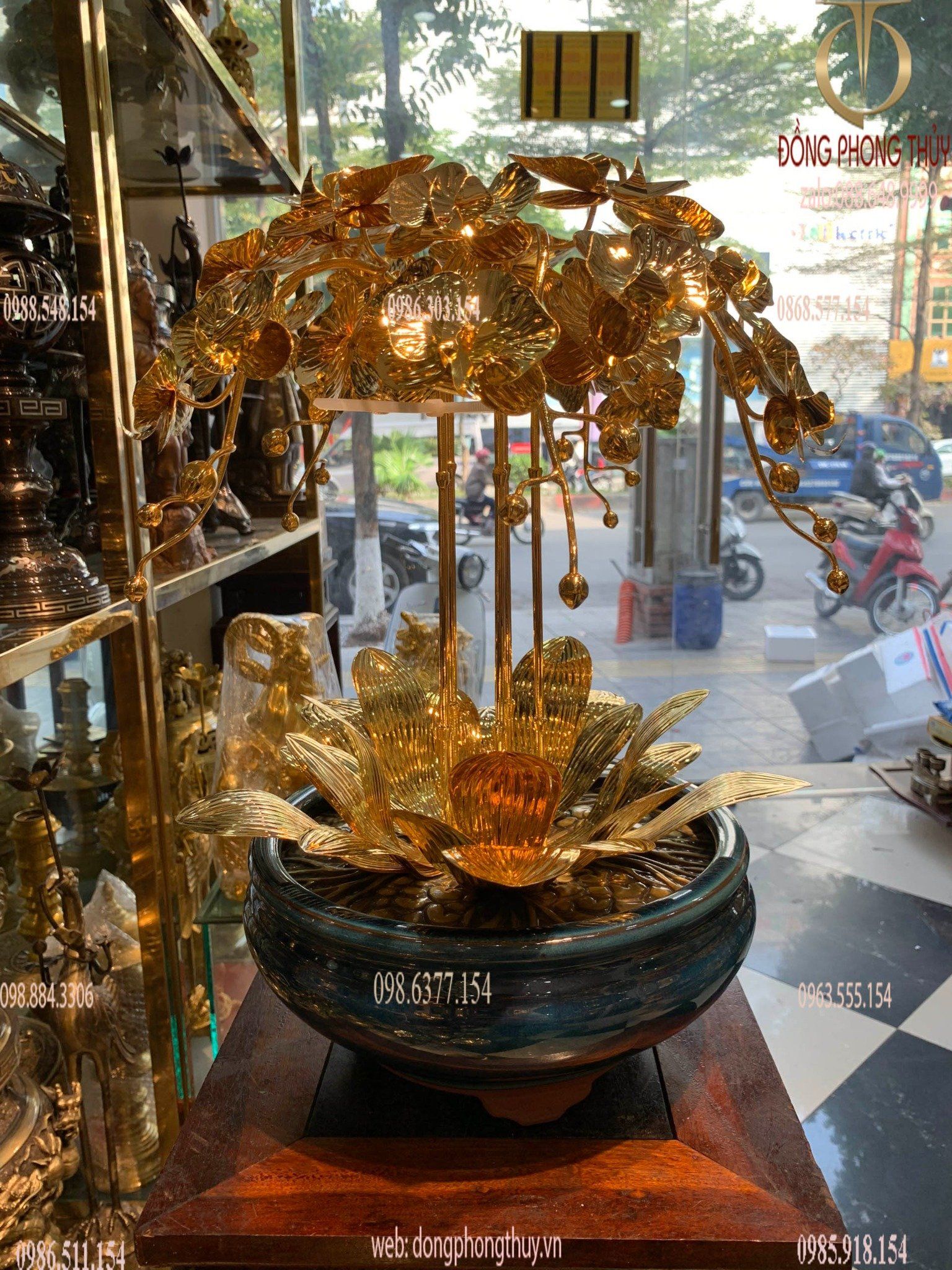 hoa lan mạ vàng