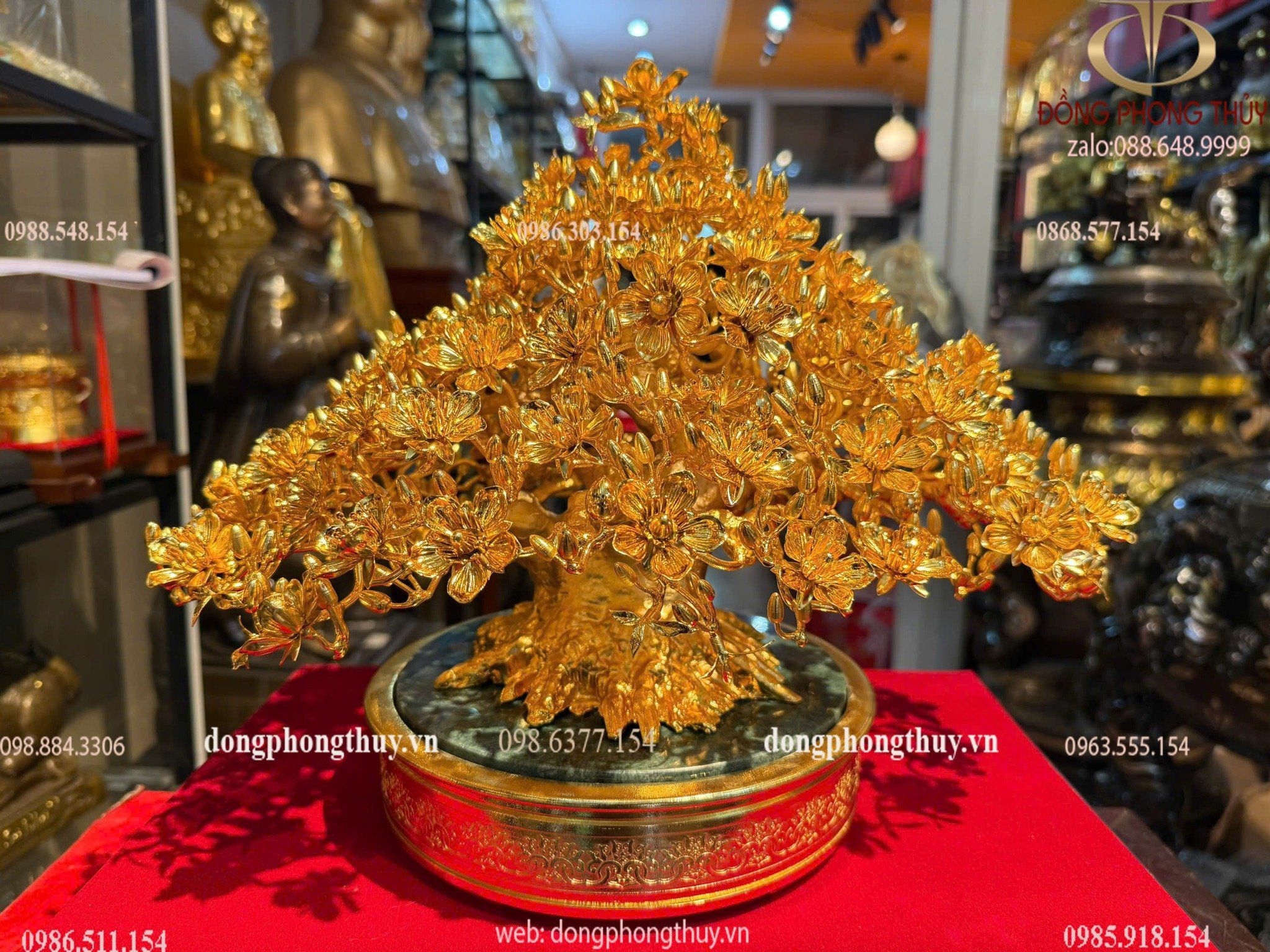 Hình ảnh sản phẩm