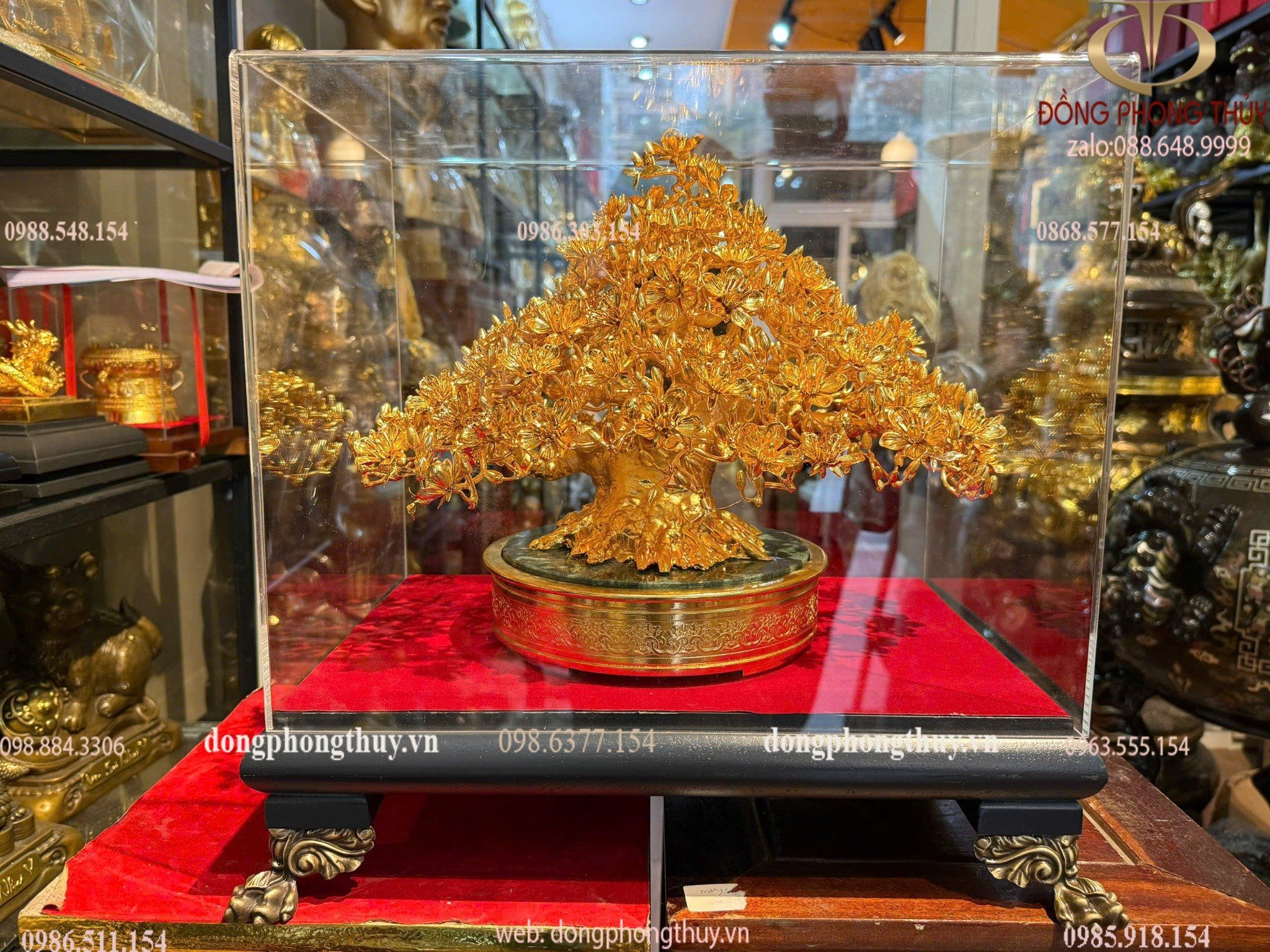 Hình ảnh sản phẩm
