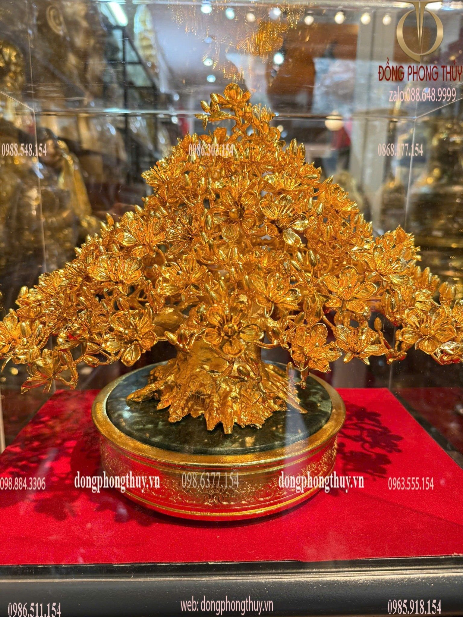 Hình ảnh sản phẩm
