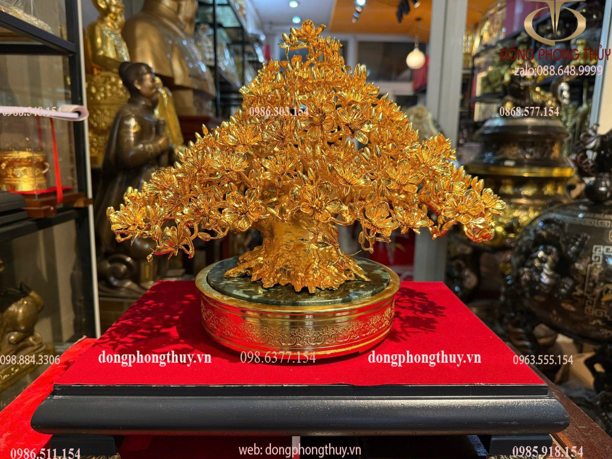 Hình ảnh sản phẩm