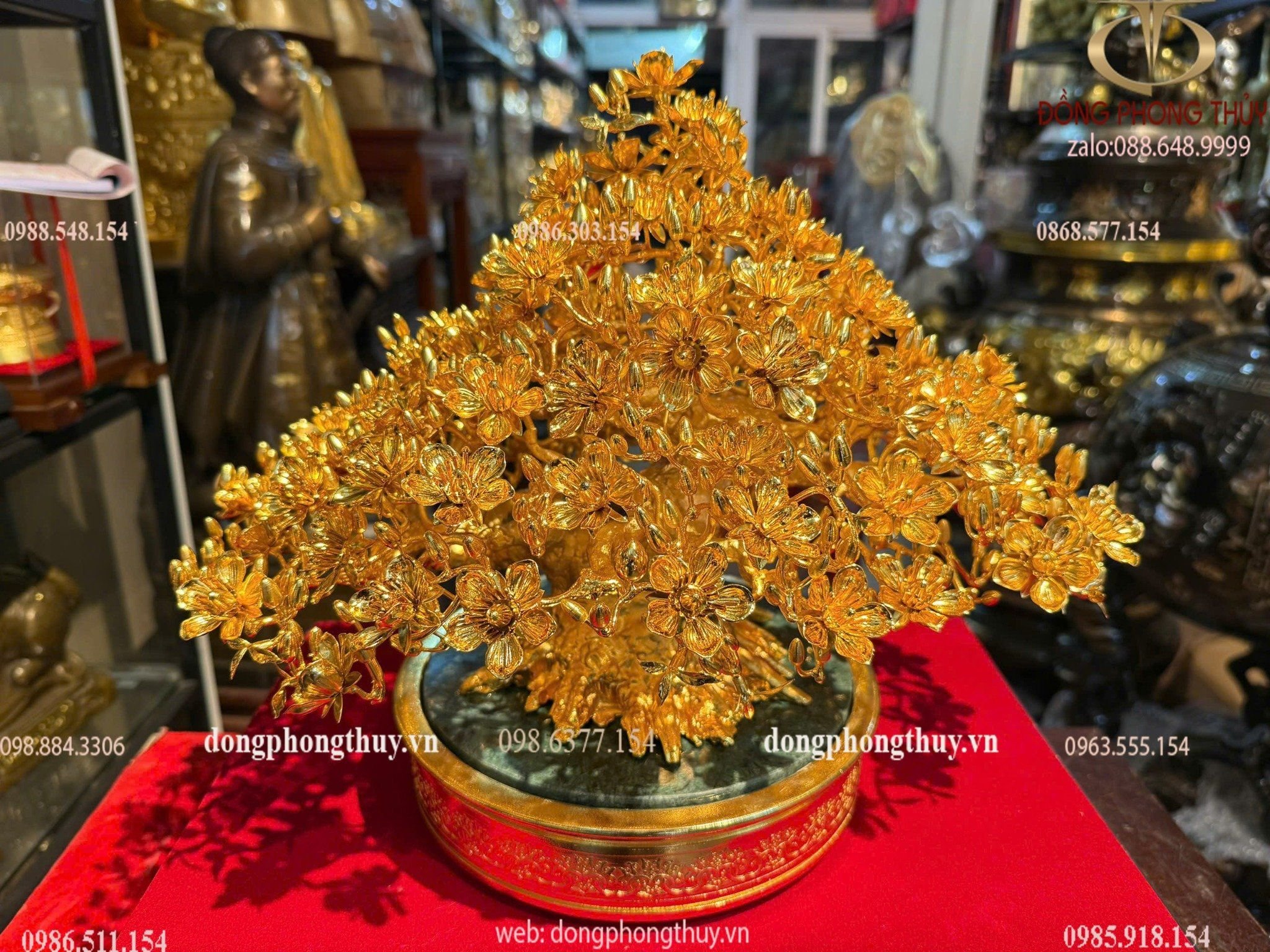 Hình ảnh sản phẩm