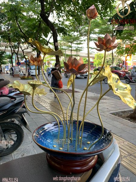 Chậu hoa sen đồng đế thuyền Đại Bái