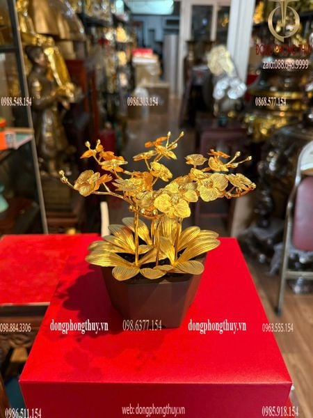 Quà tặng mạ vàng: Hoa lan mạ vàng 24k cao 19 ngang 17 sâu 17cm