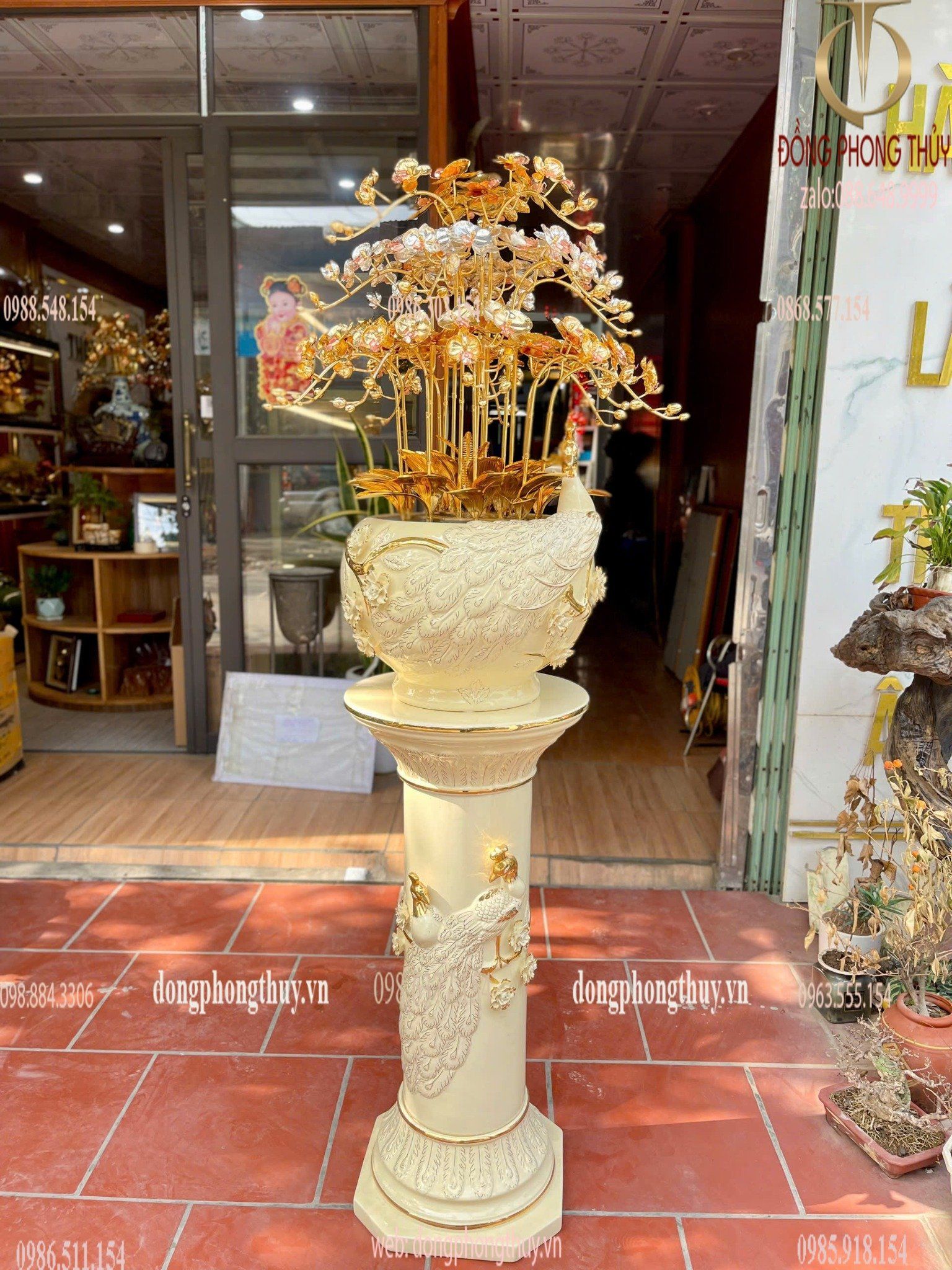 Hình ảnh sản phẩm