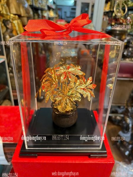 Cây kim tiền mạ vàng 24k 17x13,5x22cm