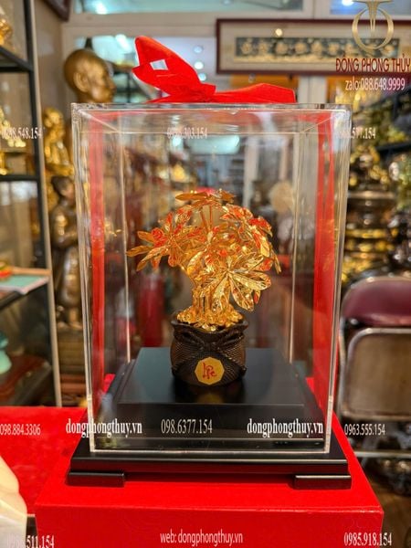 Cây kim tiền mạ vàng 24k 17x13,5x22cm