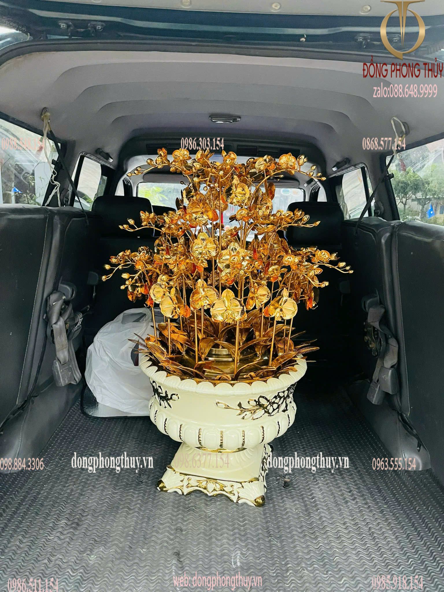 Hình ảnh sản phẩm