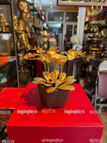Quà tặng mạ vàng: Hoa lan mạ vàng 24k cao 19 ngang 17 sâu 17cm