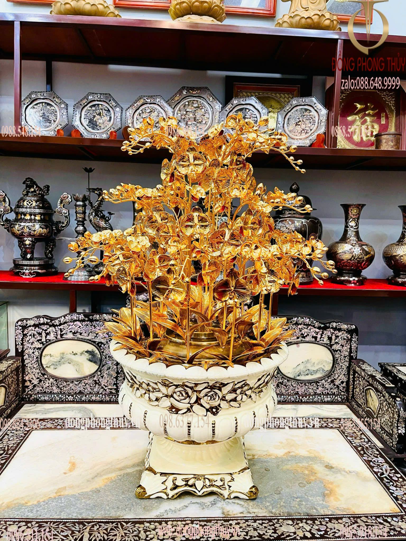 Hình ảnh sản phẩm