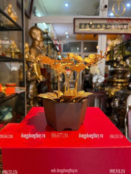Quà tặng mạ vàng: Hoa lan mạ vàng 24k cao 19 ngang 17 sâu 17cm