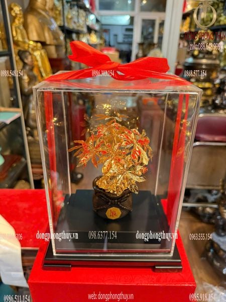 Cây kim tiền mạ vàng 24k 17x13,5x22cm