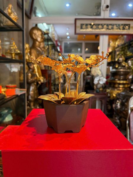 Quà tặng mạ vàng: Hoa lan mạ vàng 24k cao 19 ngang 17 sâu 17cm