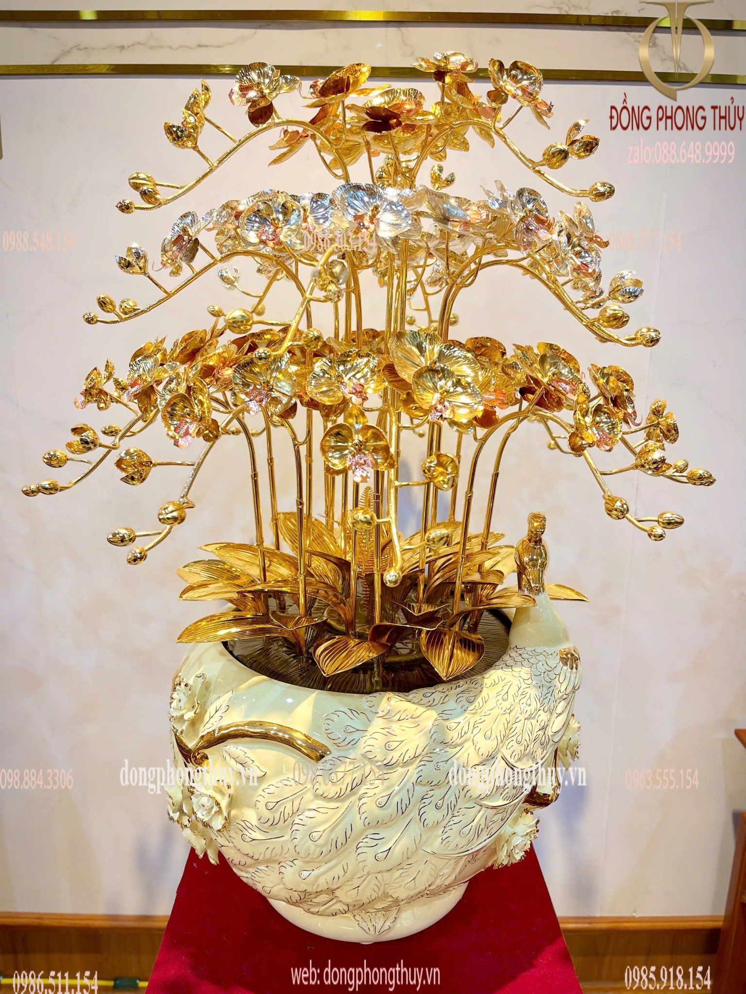 Hình ảnh sản phẩm