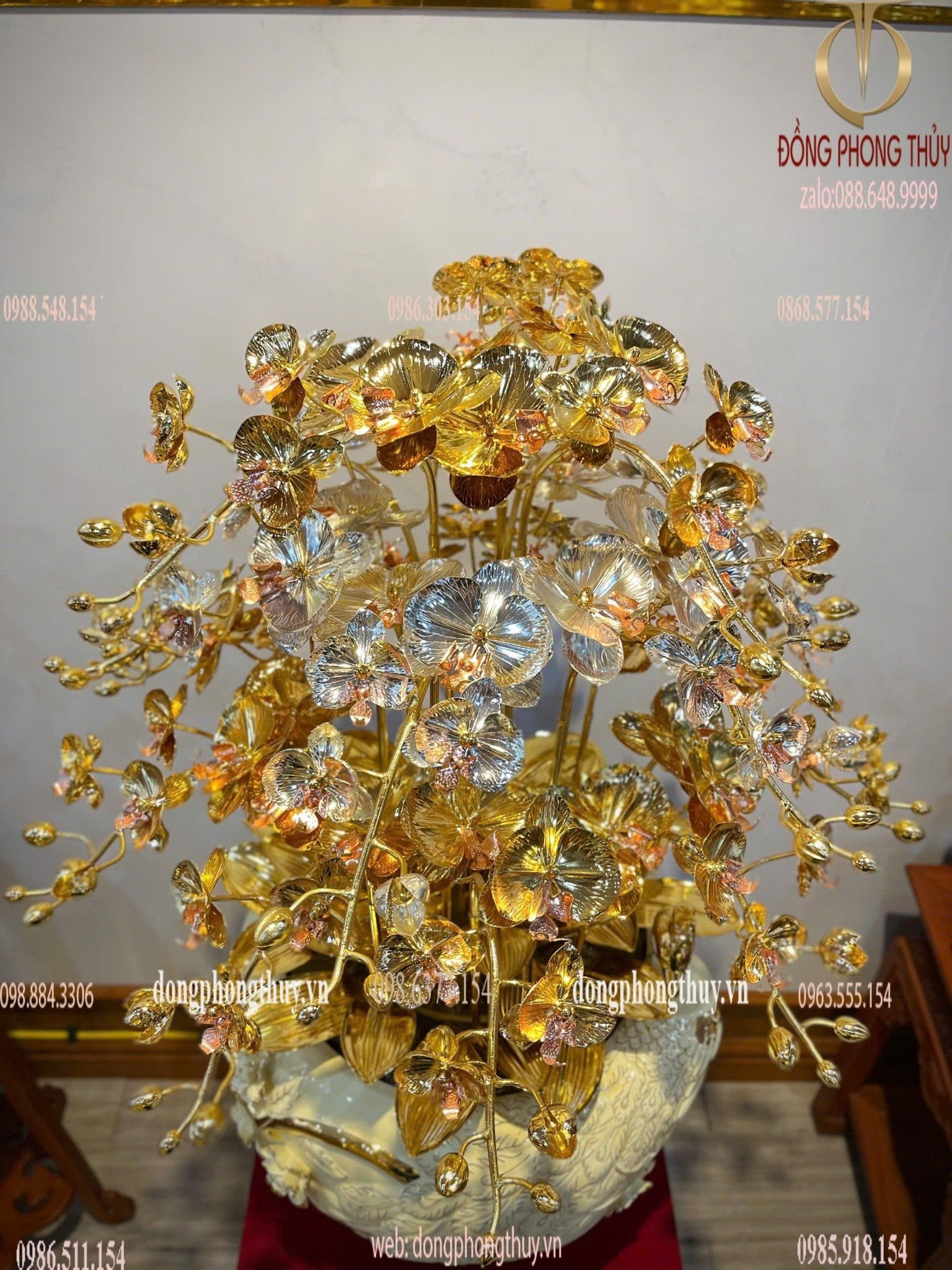 Hình ảnh sản phẩm