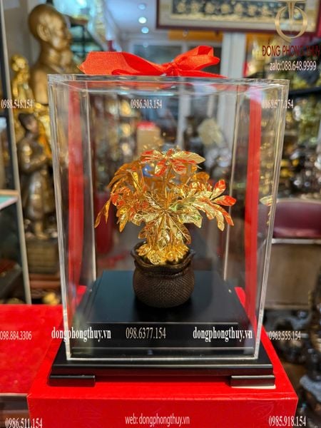 Cây kim tiền mạ vàng 24k 17x13,5x22cm