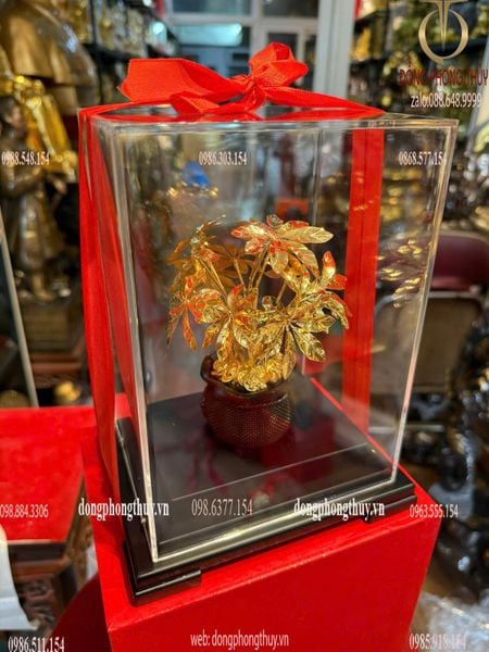 Cây kim tiền mạ vàng 24k 17x13,5x22cm