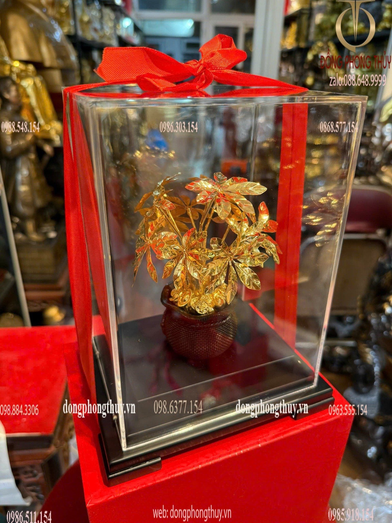 Hình ảnh sản phẩm