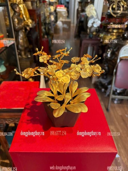 Quà tặng mạ vàng: Hoa lan mạ vàng 24k cao 19 ngang 17 sâu 17cm