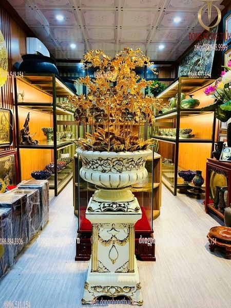 Quà tặng mạ vàng: Chậu Lan 25 cành mạ vàng 24k cao 1m48