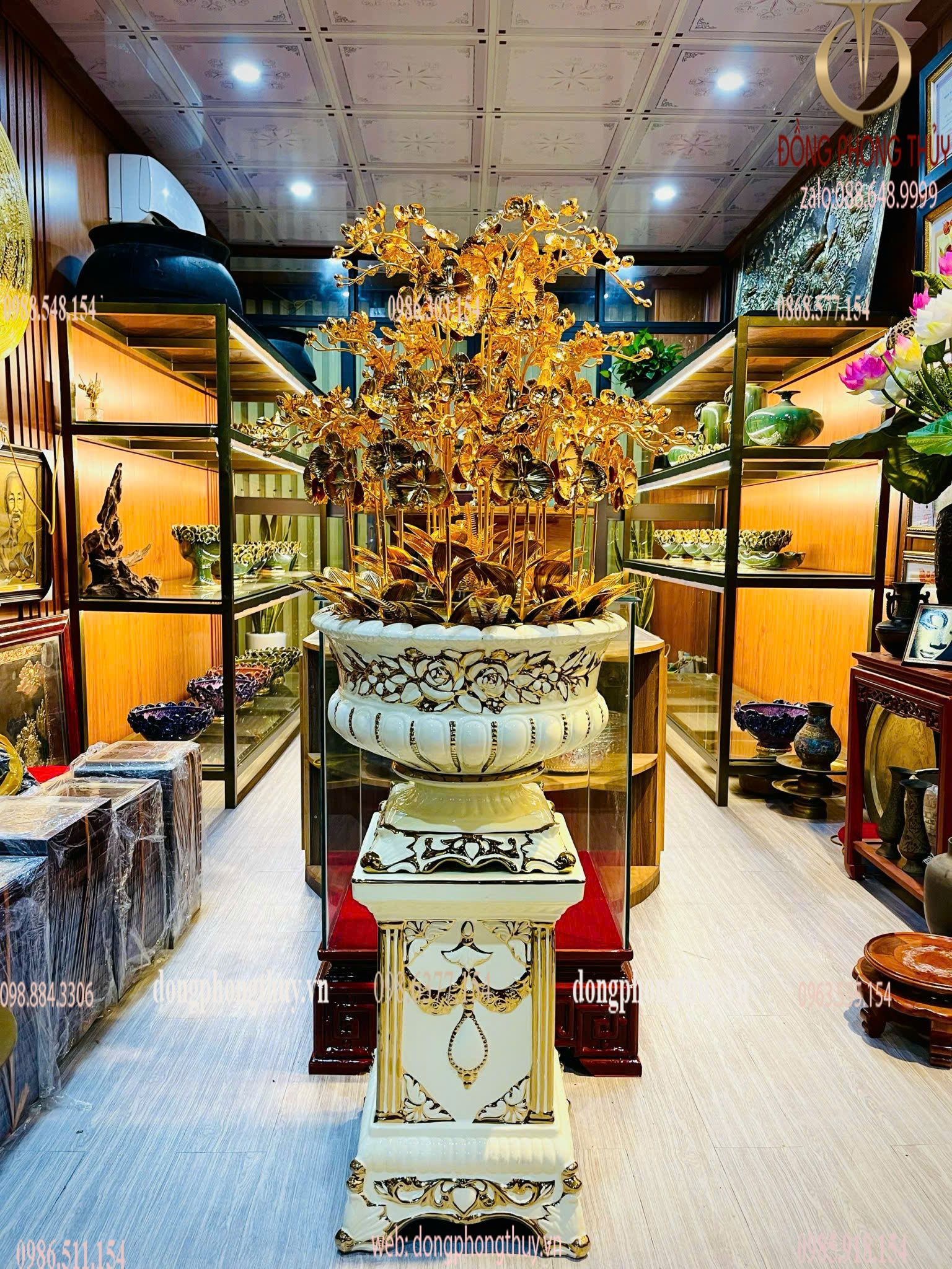 Hình ảnh sản phẩm