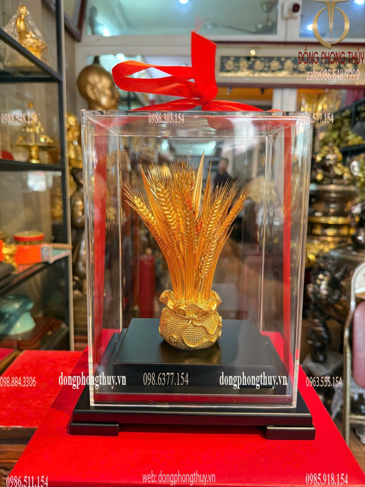 Hình ảnh sản phẩm