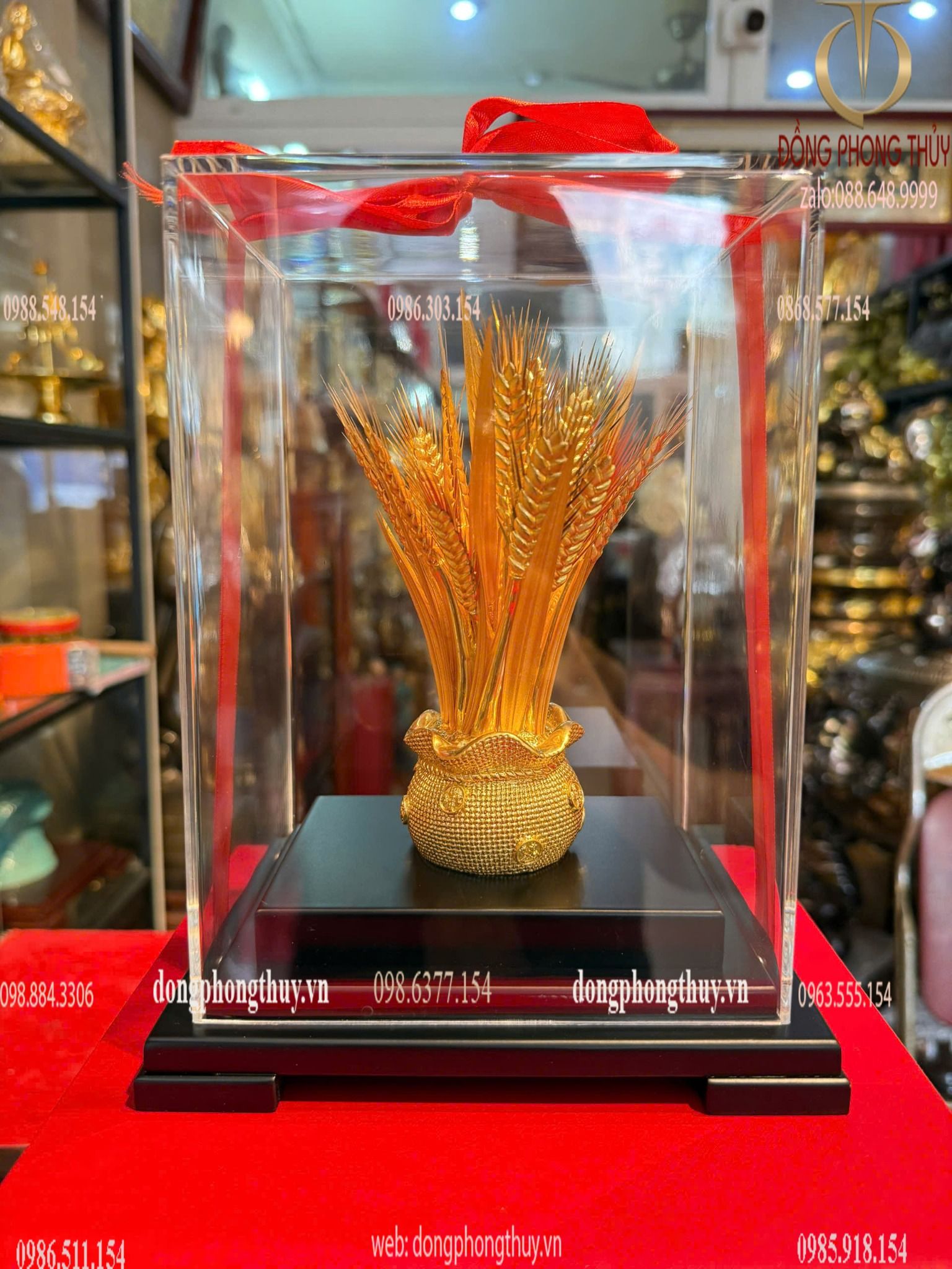 Hình ảnh sản phẩm