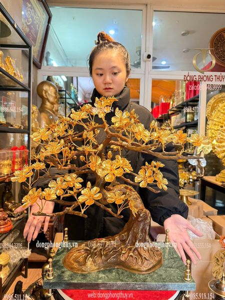 Quà tặng mạ vàng: Cây mai vàng 24k