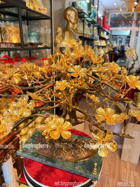Quà tặng mạ vàng: Cây mai vàng 24k