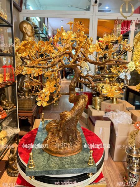 Quà tặng mạ vàng: Cây mai vàng 24k