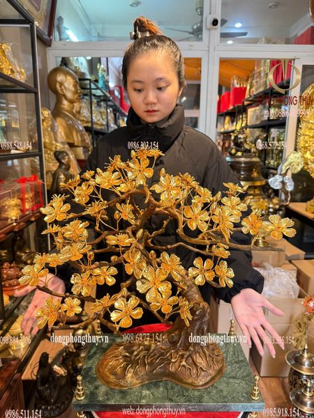 Quà tặng mạ vàng: Cây mai vàng 24k