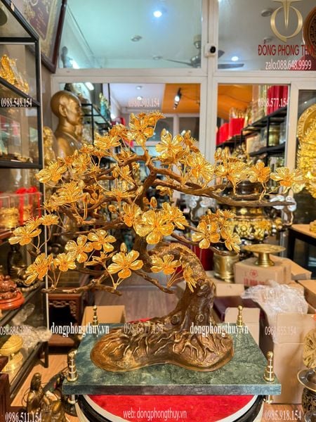 Quà tặng mạ vàng: Cây mai vàng 24k