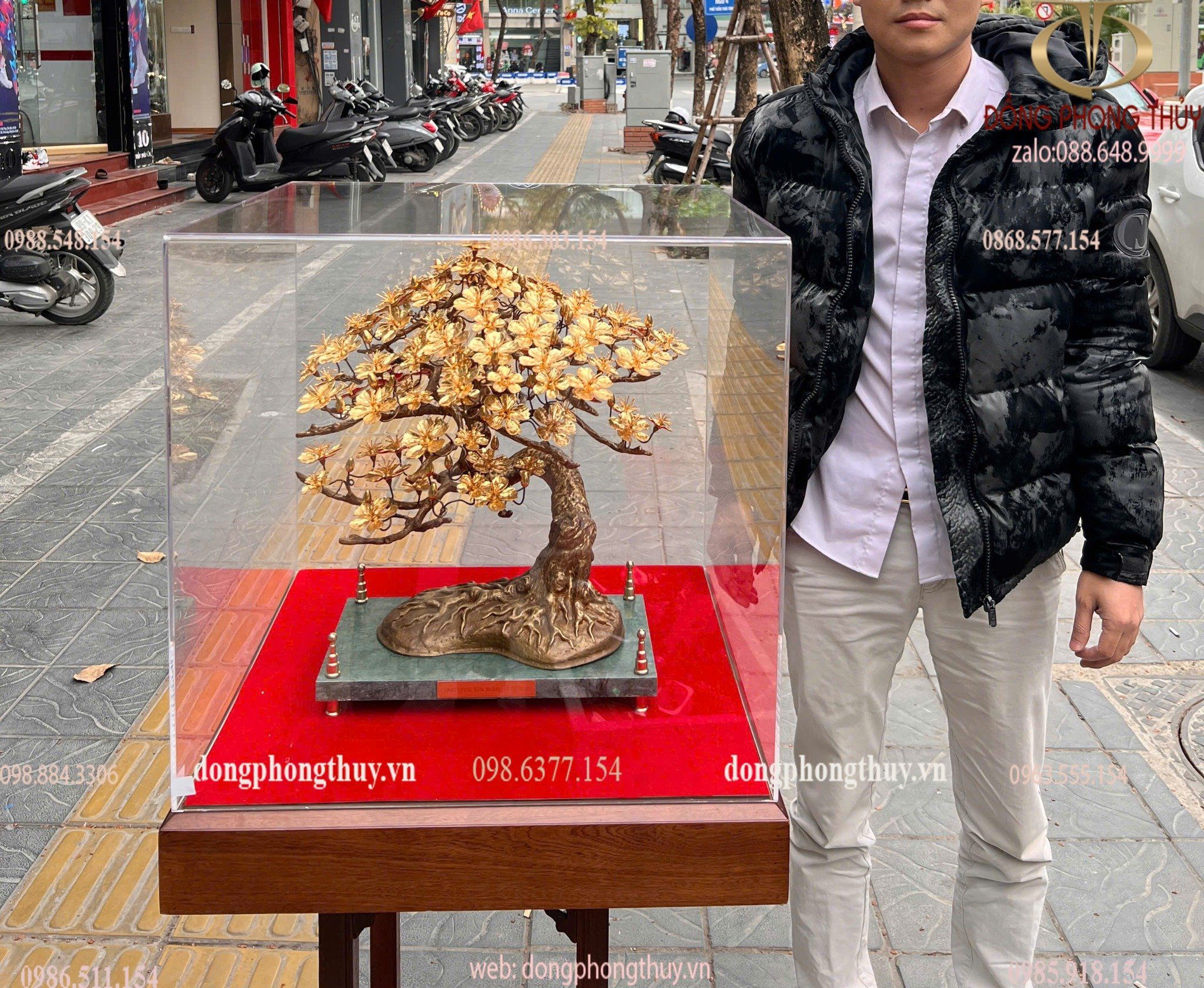 Hình ảnh sản phẩm